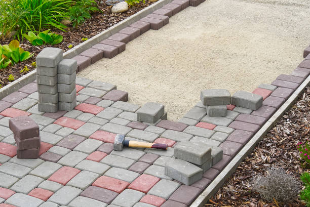 Best Driveway Paving Contractor  in Marshall, WI